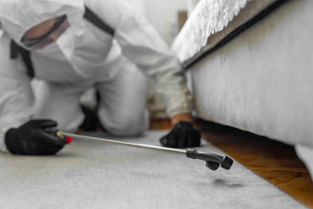 Professional Cockroach Control technician working in Durham, NC