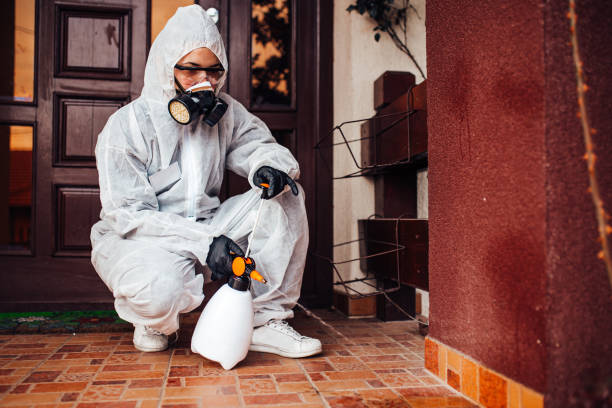 Reliable Cockroach Control contractor in Durham, NC by Nex Pest Control
